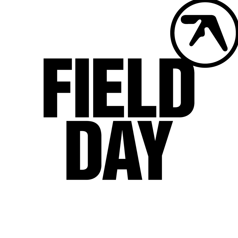 Aphex Twin Field Day 2023 Review