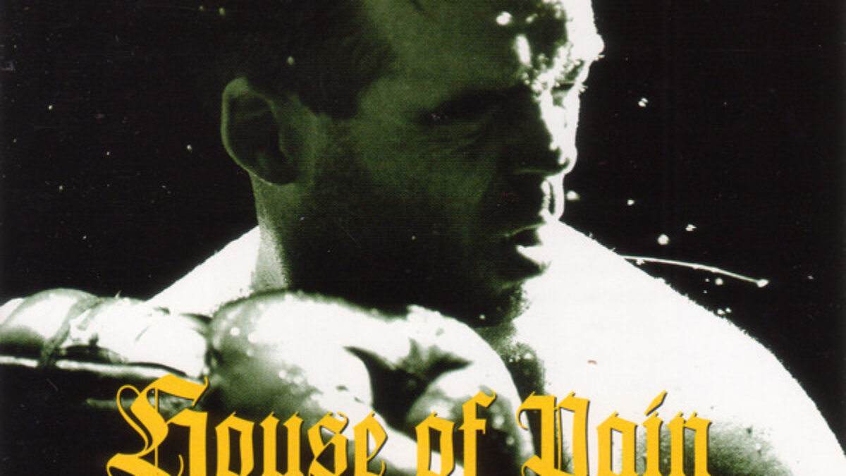 same-ever-was-house-pain-